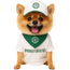 wpChatIcon